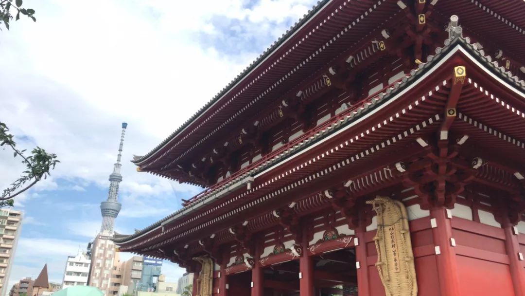 微信图片_20190829113342